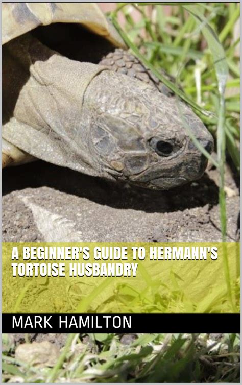 hermanns tortoise husbandry